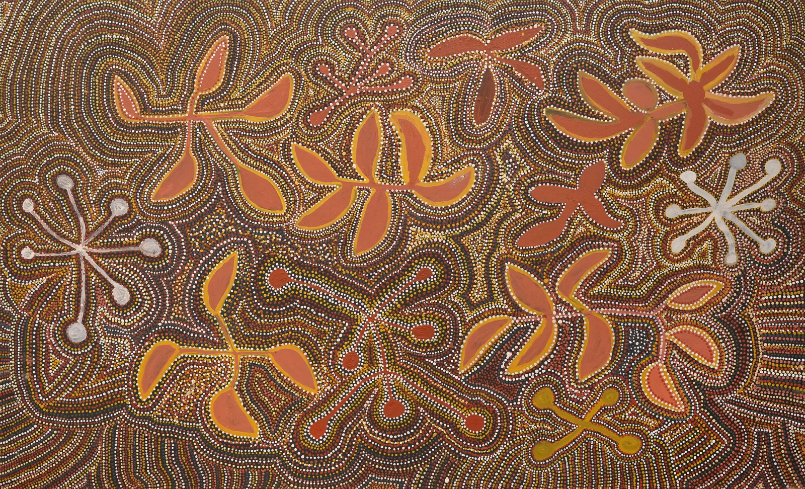 Women's Ceremony by Rosebud Kngwarreye