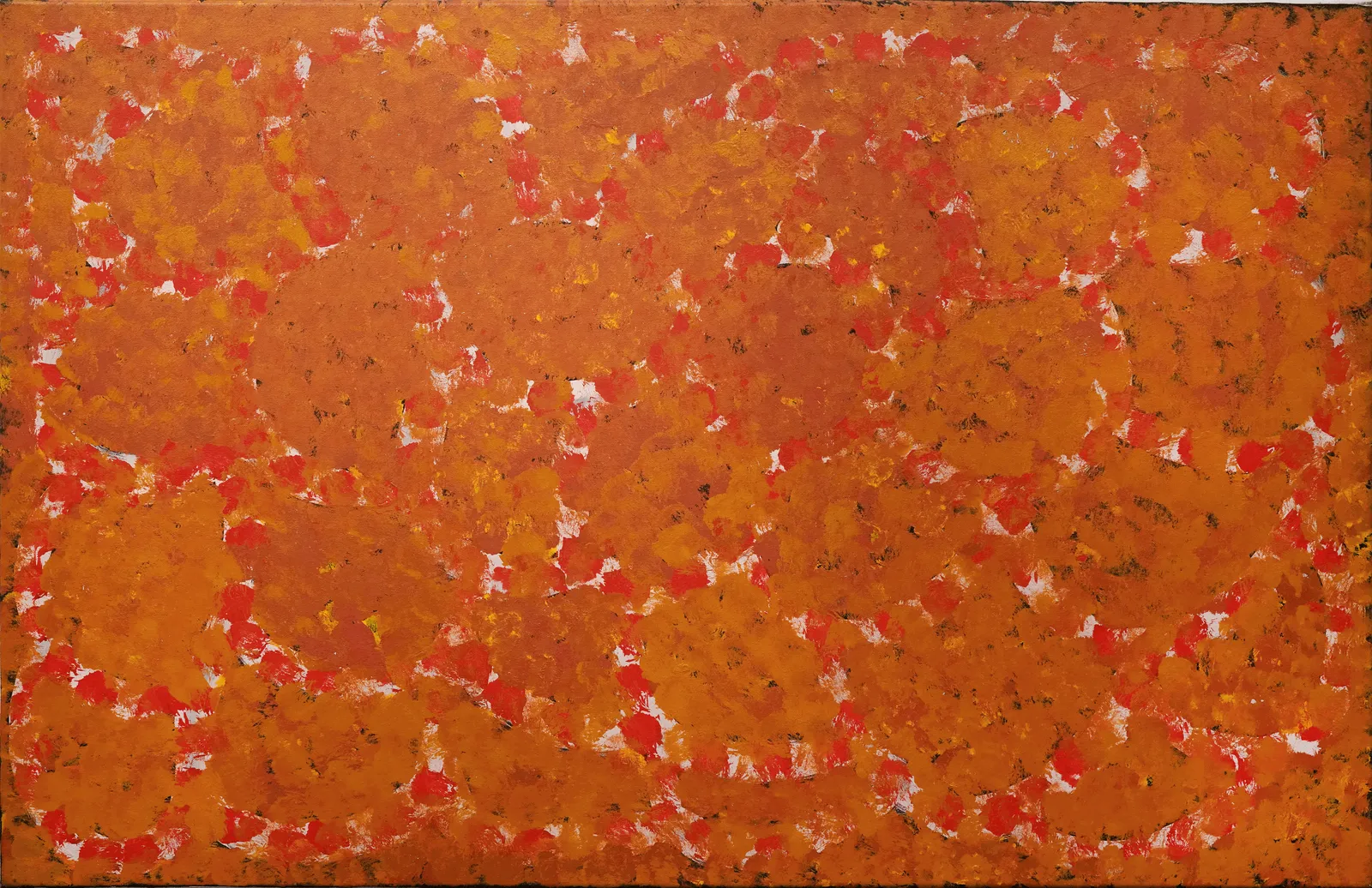 My Country, 1994 by Emily Kame Kngwarreye