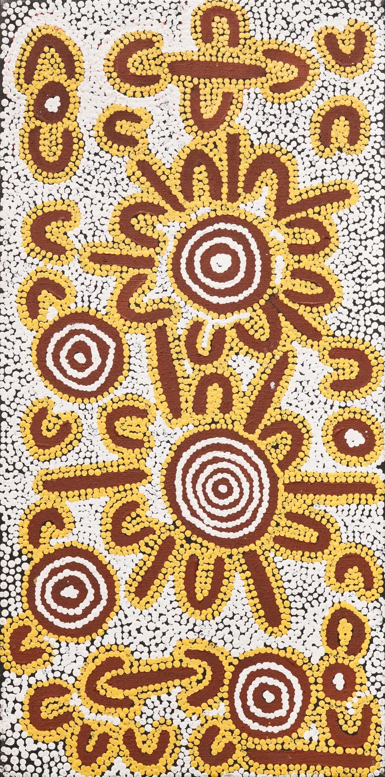 Women's Ceremonies by Yalti Napangati